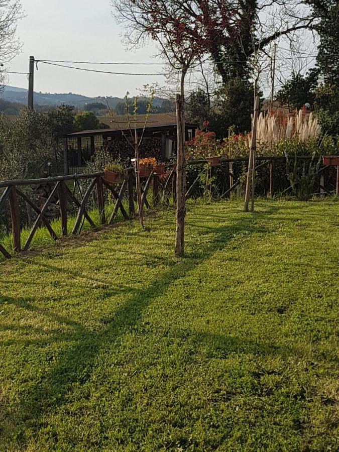 B&B La Casetta Di Lilly Amelia Exteriér fotografie